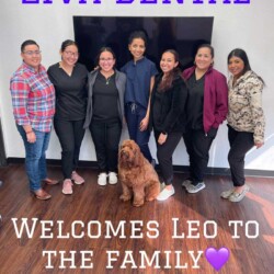 Ziva Dental Team
