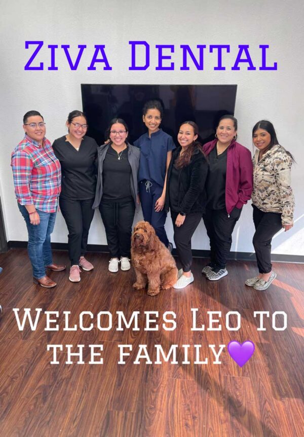 Ziva Dental Team